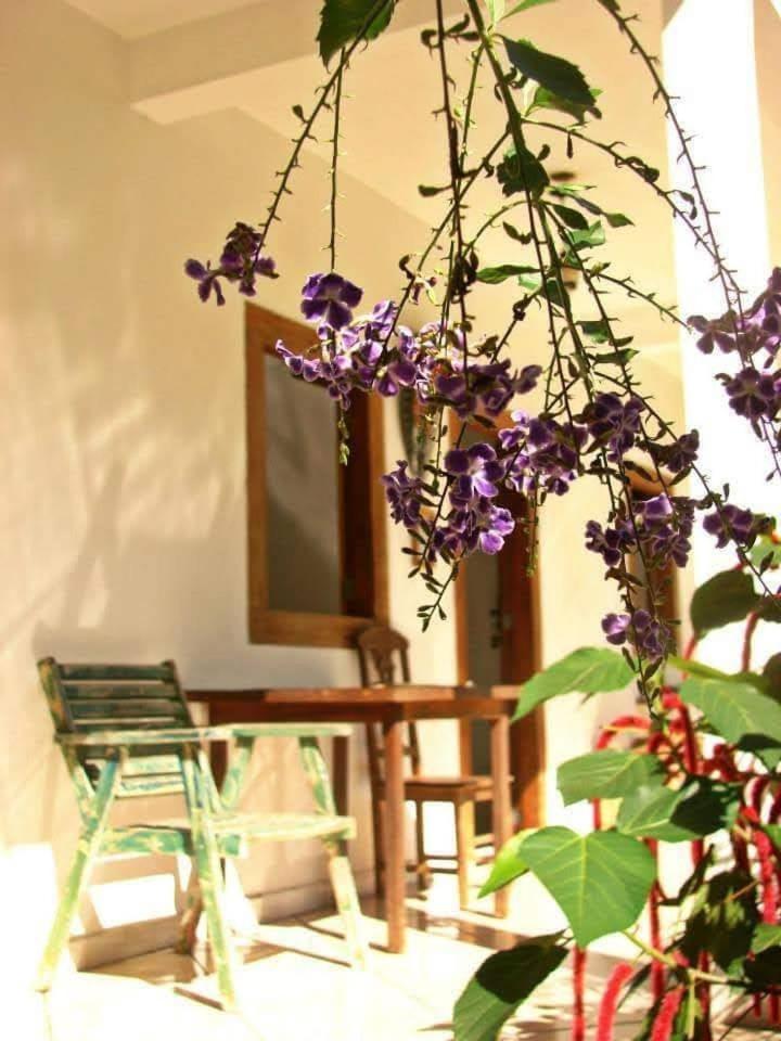 Pousada Villa Da Gama Araquari Rom bilde