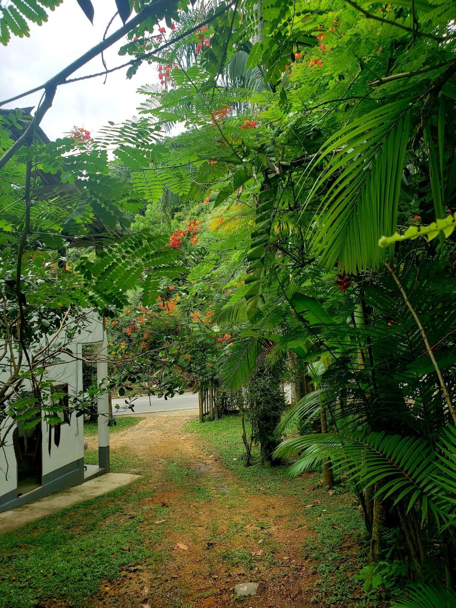 Pousada Villa Da Gama Araquari Rom bilde